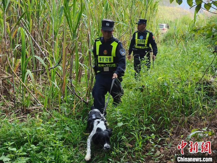 品运输案 抓获1人缴毒约07公斤j9九游会登录广西崇左破获特大毒(图2)